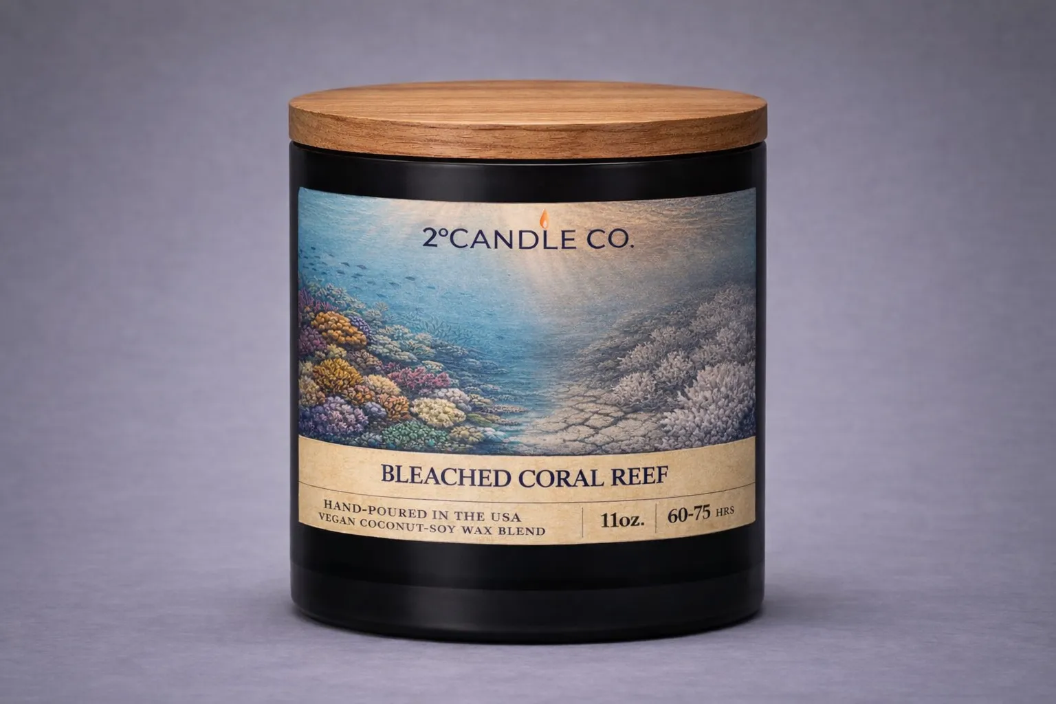 Bleached Coral Reef – lid