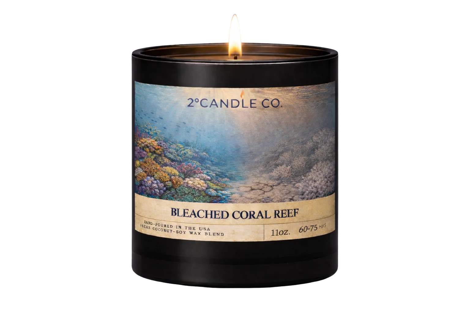 Bleached Coral Reef lit