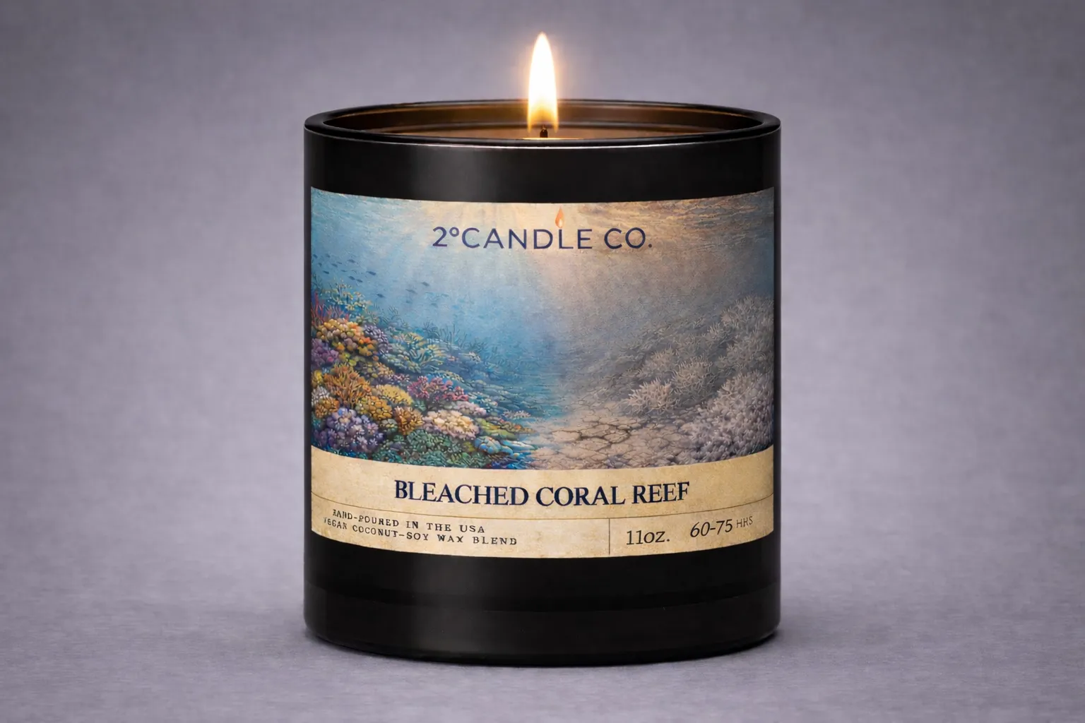Bleached Coral Reef – lit