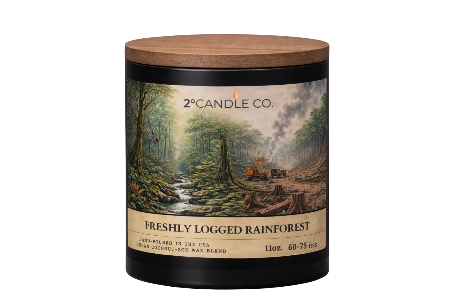 Freshly Logged Rainforest