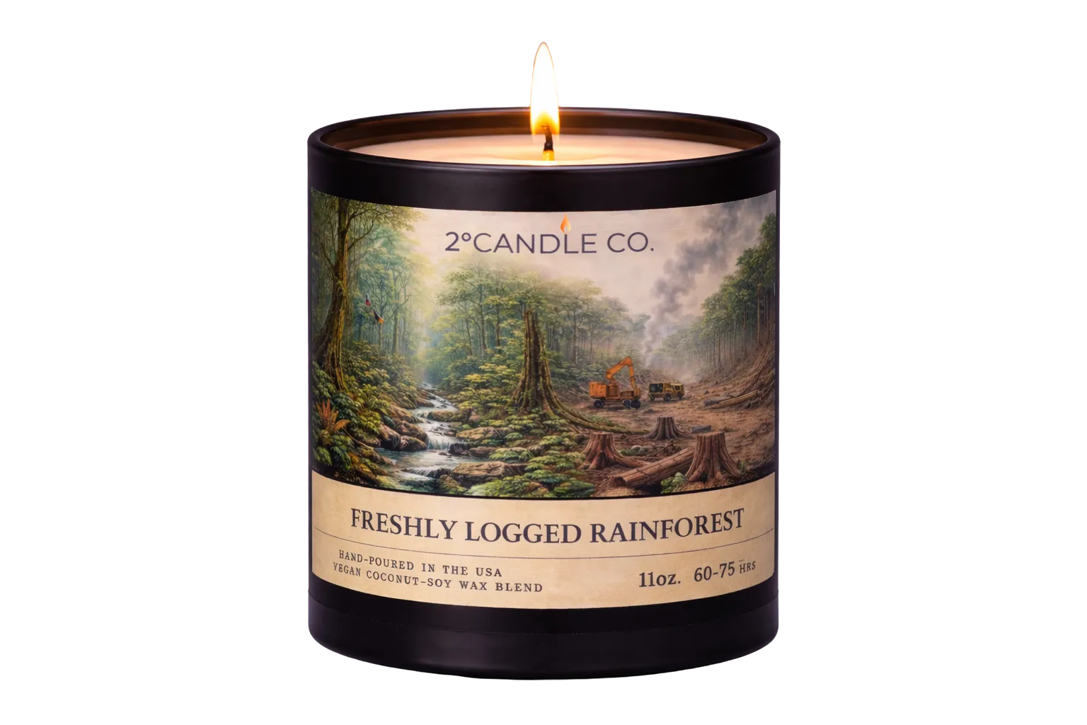 Freshly Logged Rainforest lit