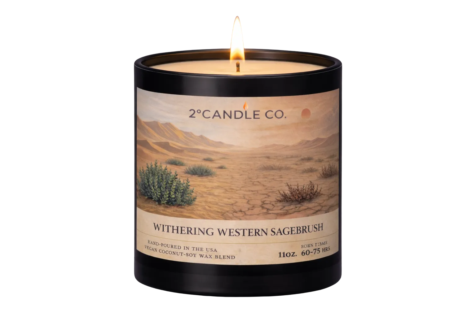 Withering Western Sagebrush lit